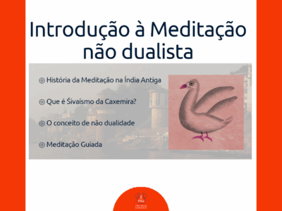 Introdução à Meditação não Dualista (IMND-2025)